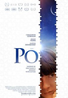 "A Boy Called Po" (2017) WEB-DL.x264-FGT