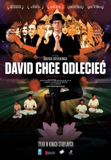 "David Wants to Fly" (2010) PL.480p.DVDRip.x264-KiKO