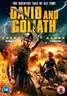 "David and Goliath" (2016) PL.BDRiP.x264-PSiG