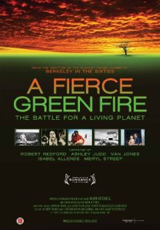 "A Fierce Green Fire" (2012) LIMITED.DVDRip.x264-IGUANA