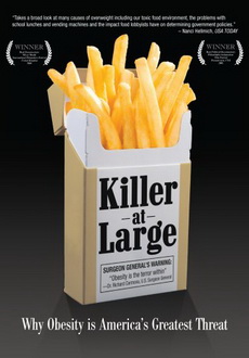 "Killer at Large" (2008) DVDRip.XviD-HNR