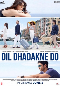 "Dil Dhadakne Do" (2015) DVDRip.x264.AC3-DDR