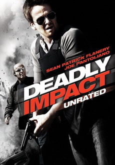 "Deadly Impact" (2010) PL.DVDRiP.XViD-PSiG