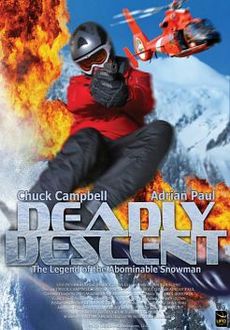 "Deadly Descent" (2013) PL.DVDRiP.x264.AC3-aX