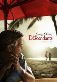 "The Descendants" (2011) PL.DVDRip.XviD-PSiG