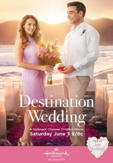 "Destination Wedding" (2017) HDTV.x264-W4F