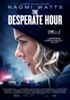 "The Desperate Hour" (2022) HDRip.XviD.AC3-EVO