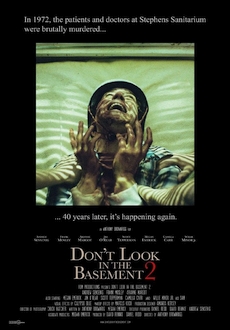 "Don't Look in the Basement 2" (2015) WEB-DL.x264-FGT