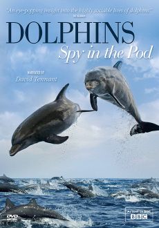 "Dolphins: Spy In The Pod" (2014) BRRip.XviD-AQOS