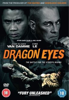 "Dragon Eyes" (2012) PL.DVDRiP.XViD-PSiG