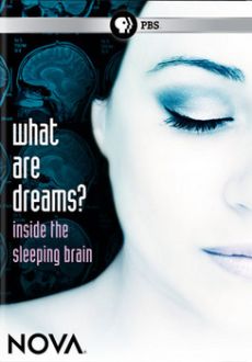 "What Are Dreams?" (2009) DVDRip.XviD-FiCO