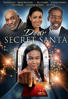 "Dear Secret Santa" (2013) DVDRip.x264.AC3-PLAYNOW