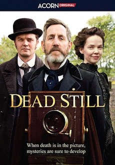 "Dead Still" [S01] DVDRip.x264-PFa