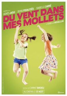 "Du Vent Dans Mes Mollets" (2012) DVDRip.x264.AC3-catrogers