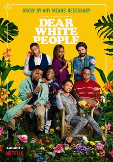 "Dear White People" [S03] WEBRip.x264-ION10