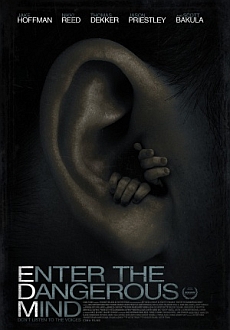 "Enter the Dangerous Mind" (2013) BDRip.x264-WiDE  