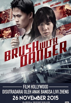 "Brush with Danger" (2014) HDRip.XviD.AC3-EVO