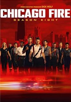 "Chicago Fire" [S08] BDRip.x264-SURCODE  