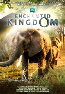 "Enchanted Kingdom" (2014) BDRip.x264-PFa