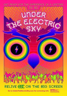 "Under the Electric Sky" (2014) BRRip.x264.AC3-PLAYNOW