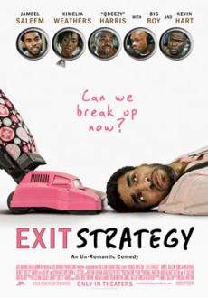 "Exit Strategy" (2012) DVDRip.XviD-TASTE