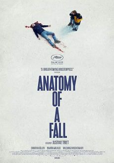 "Anatomy of a Fall" (2023) BDRip.x264-VETO