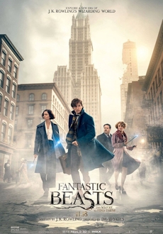 "Fantastic Beasts and Where to Find Them" (2016) PLDUB.BDRiP.x264-PSiG