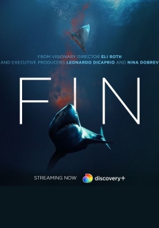 "Fin" (2021) WEBRip.x264-ION10