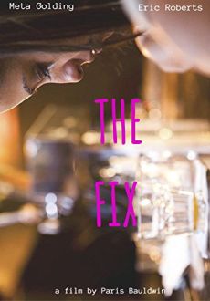 "The Fix" (2015) WEBRip.x264-RARBG