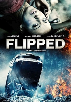 "Flipped" (2015) DVDRip.x264-SPOOKS