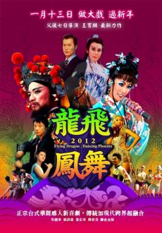 "Flying Dragon, Dancing Phoenix" (2012) DVDRip.XviD-CoWRY