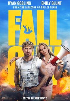 "The Fall Guy" (2024) 720p.WEB.h264-EDITH