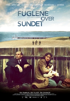 "Fuglene Over Sundet" (2016) BDRip.x264-AFFECTION