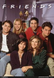 "Friends" [S01-10] MULTi.1080p.HBO.WEB-DL.H.264.PACK-PSiG