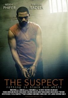 "The Suspect" (2013) BDRip.x264-SONiDO