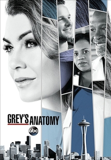 "Grey's Anatomy" [S14E05] HDTV.x264-SVA