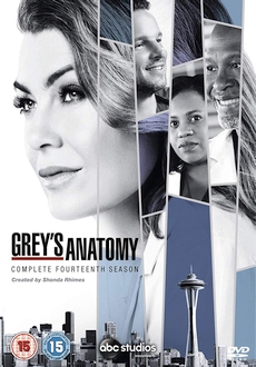 "Grey's Anatomy" [S14] DVDRip.x264-PFa