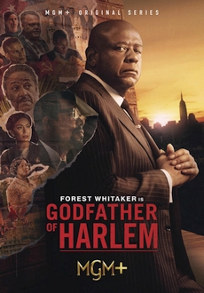 "Godfather of Harlem" [S03E01] 1080p.WEB.H264-GGWP