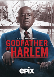 "Godfather of Harlem" [S02E06] WEBRip.x264-ION10