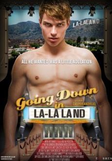 "Going Down in LA-LA Land" (2011) DVDRip.XviD-NoGRP