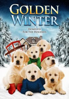 "Golden Winter" (2012) PL.DVDRip.XviD-Zet