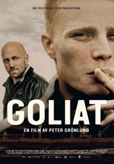 "Goliath" (2018) DVDRip.x264-BiPOLAR  