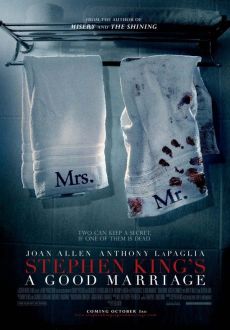 "A Good Marriage" (2014) PL.DVDRIP.X264-PTRG