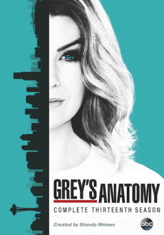 "Grey's Anatomy" [S13] DVDRip.x264-REWARD  