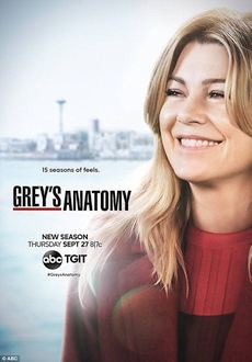 "Grey's Anatomy" [S15E20] HDTV.x264-KILLERS