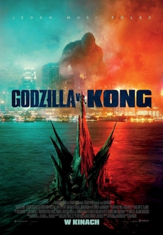 "Godzilla vs. Kong" (2021) PL.BDRiP.x264-PSiG