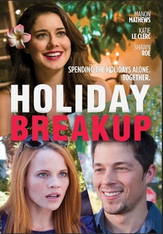 "Holiday Breakup" (2016) HDRip.XviD.AC3-EVO