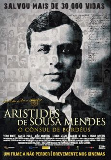 "O Cônsul de Bordéus" (2011) PL.HDTV.XViD-PSiG