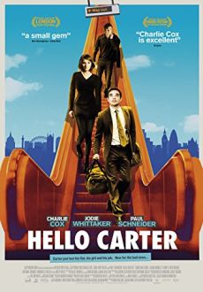 "Hello Carter" (2013) WEBRip.x264-RARBG