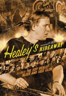 "Healey's Hideaway" (2014) DVDRip.x264-RedBlade